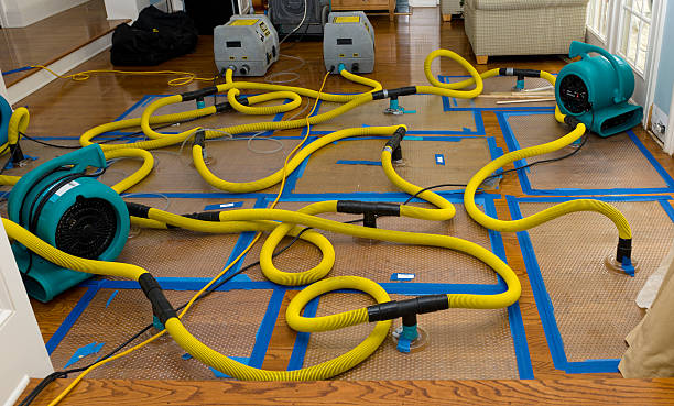 Professional Sewage Cleanup technician working in Folsom, LA